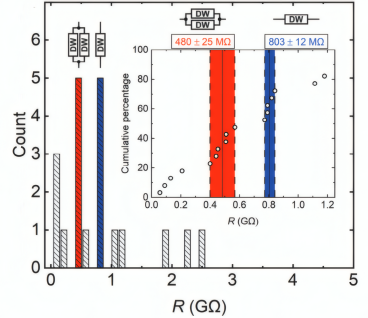 两个具有长条纹铁电/铁弹畴的 BFO 薄膜样品（S1 和 S2）的扫描探针显微镜图像
