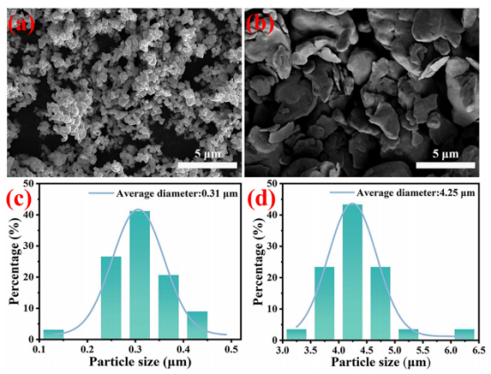 银粉填料形貌与粒径表征