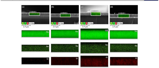 薄膜截面的 SEM 形貌，比例尺均为 1 μm。上排左为 Sn-20W、右为 Sn-20W-H，下排左为 Sn-30W、右为 Sn-30W-H.png
